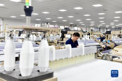 山东定陶:构建特色产业体系助推经济高质量发展